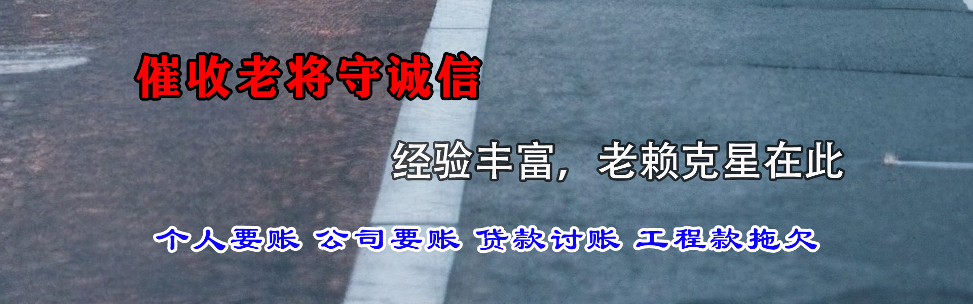 汤阴清债公司